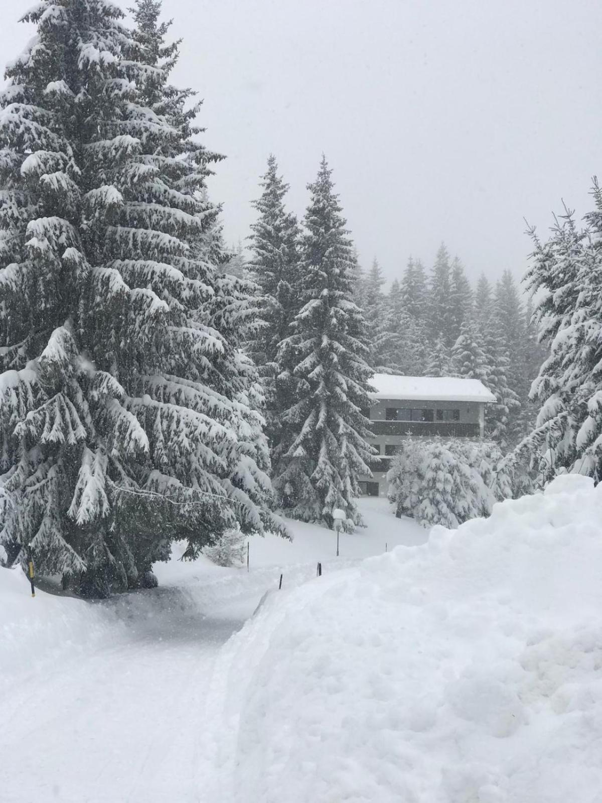 Koralpen Appartement Rieding Exteriér fotografie